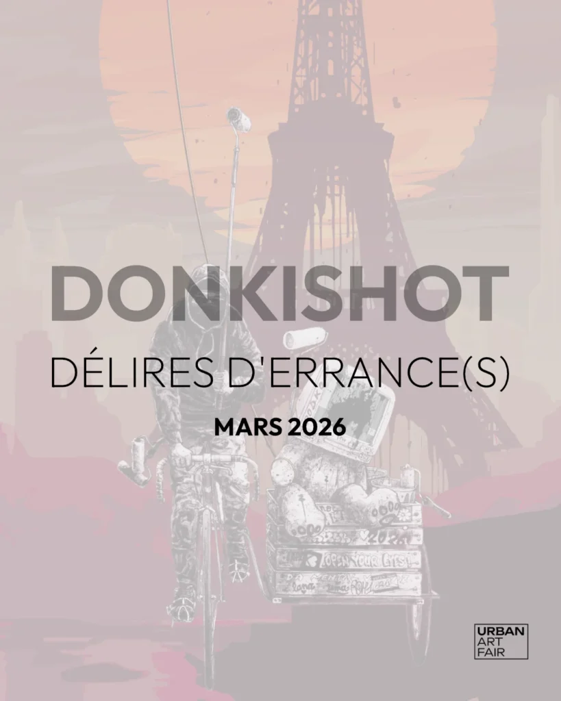 Brusk | Projet | Donkishot | Délires d'errance(s)