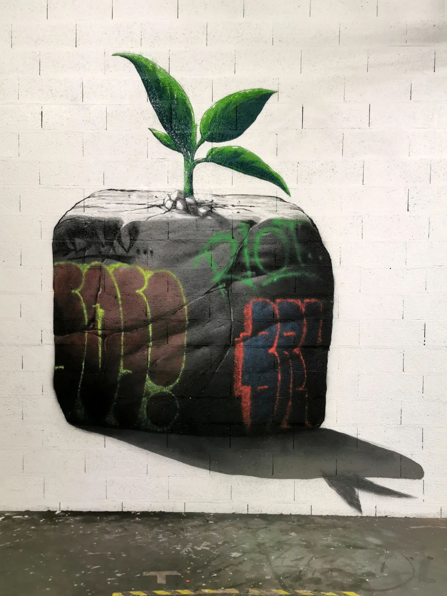 Brusk | Murs | Seed Of Hope | Lyon | 2020